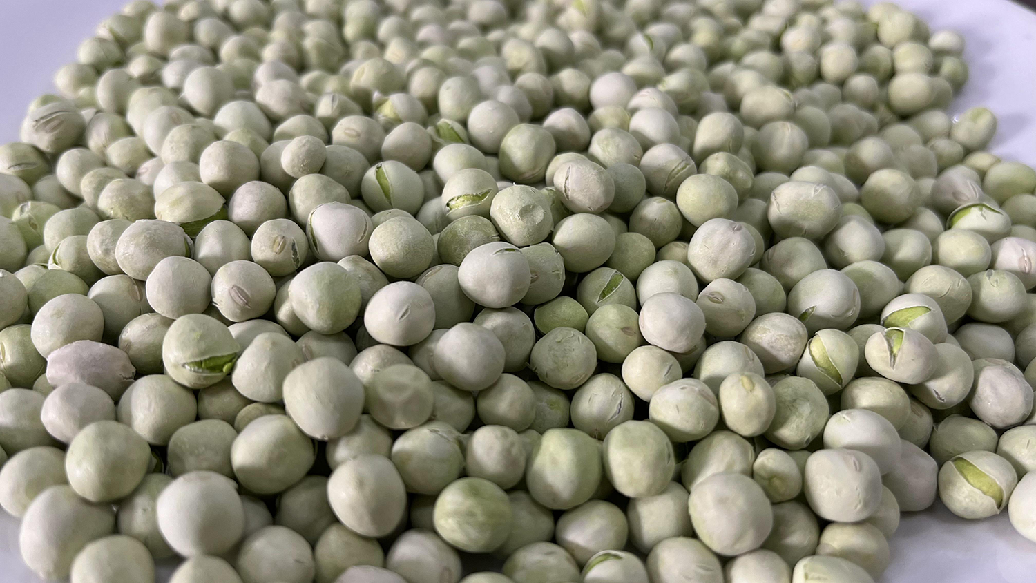 Organic FD Pea 