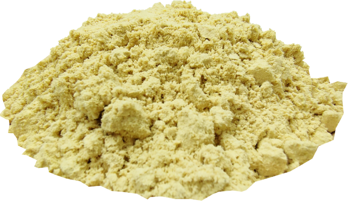 Organic Dehydrated Ginger Powder