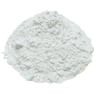 Organic Dehydrated Garlic Powder