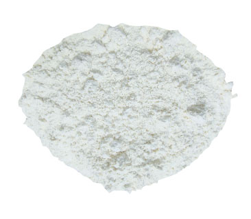 Organic Dehydrated Onion Powder